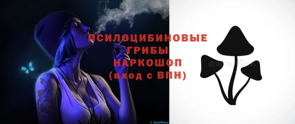 а пвп мука Абаза